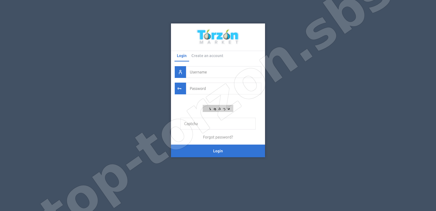 Login Interface